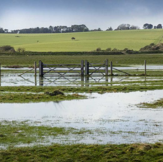 Why are we building homes on flood plains?