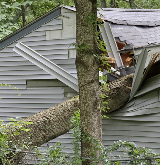 Does house insurance cover damage caused by fallen trees?