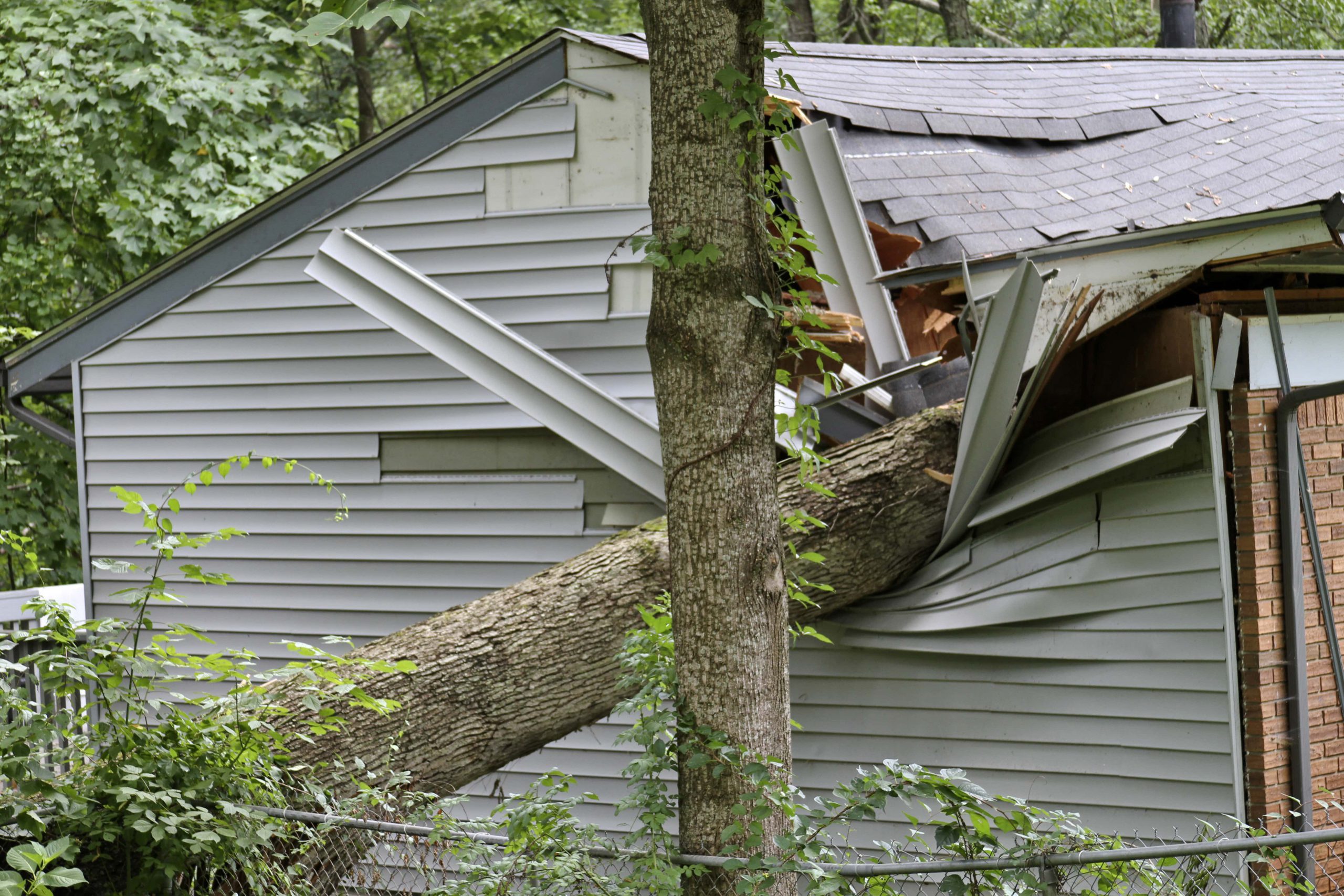 Will my house insurance cover damage caused by fallen trees? Quoteme